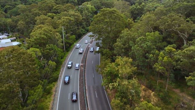 Coastal Road Surrounded by Greenery