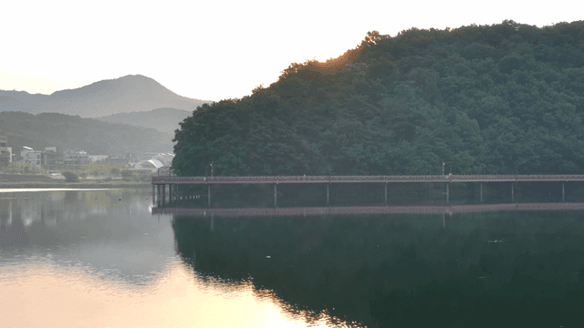 Sunrise over a serene lake with swan boats
