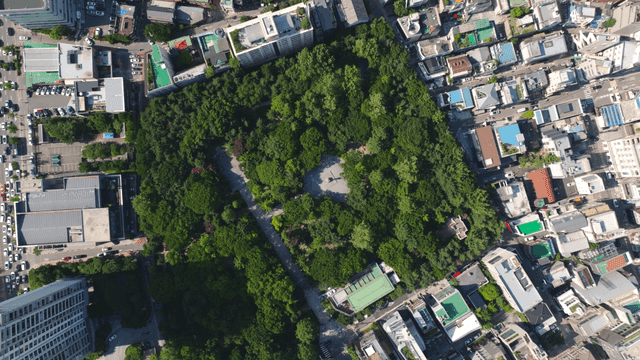 건물로 둘러싸인 도시 공원의 항공 뷰