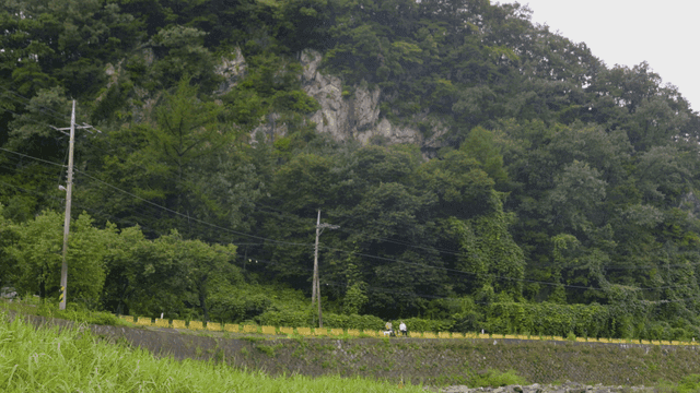 숲길에 강아지와 숲길에 앉아있는 사람들