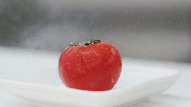 흰 접시에 놓인 신선한 토마토