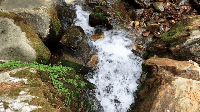 이끼 낀 바위를 흐르는 시냇물