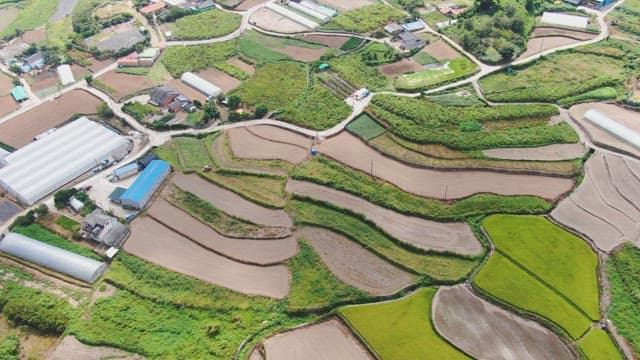 View of lush green farmland