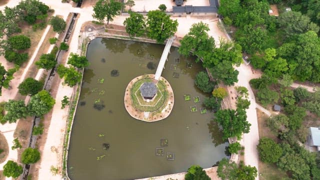 나무에 둘러싸인 한국 전통 궁궐
