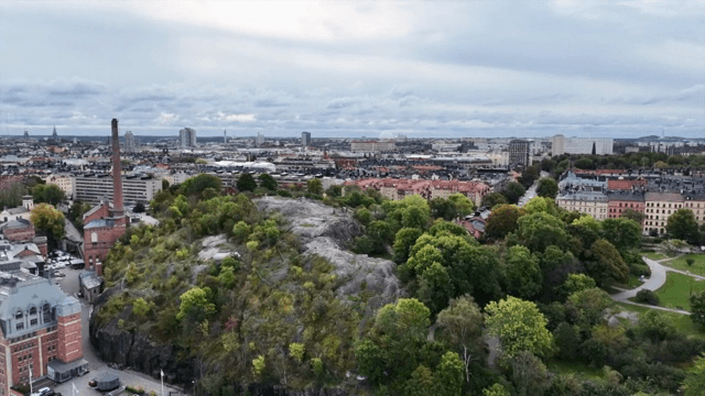 녹지와 건물이 있는 도시 풍경