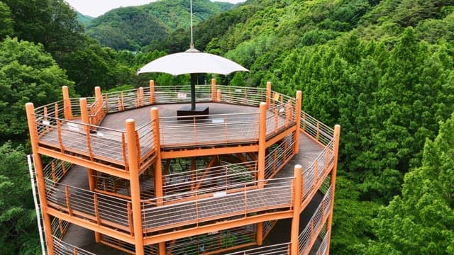 푸른 숲으로 둘러싸인 경치 좋은 전망대
