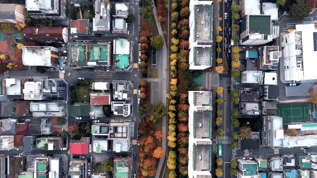가을 나무가 있는 도시의 항공 뷰
