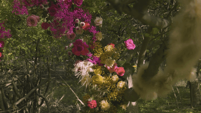 Forest with colorful flowers on trees