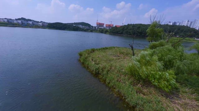 Green City Park Beside a Lake