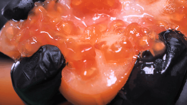 Tomato bursting with juice as it is crushed by gloved hand