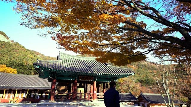 Man standing in front of an traditional temple in autumn