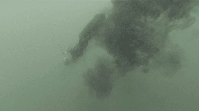 Fishing lure that catches cuttlefish squirting ink in sea