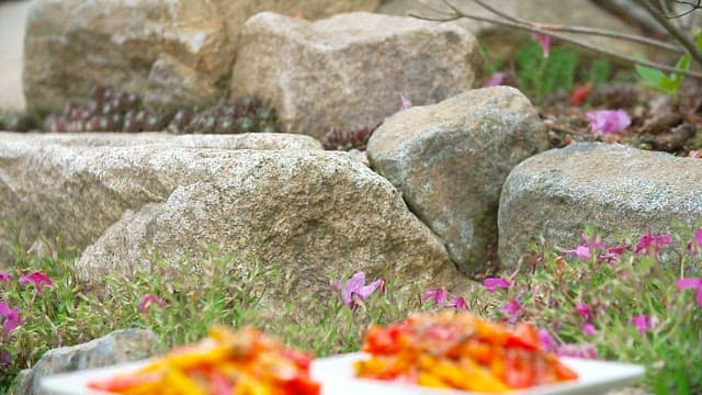 돌 위에 놓인 노랗고 빨간 파프리카볶음