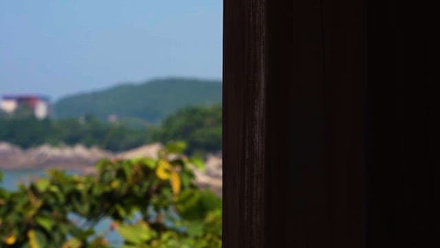 녹색 식물이 우거진 해안가의 별장들