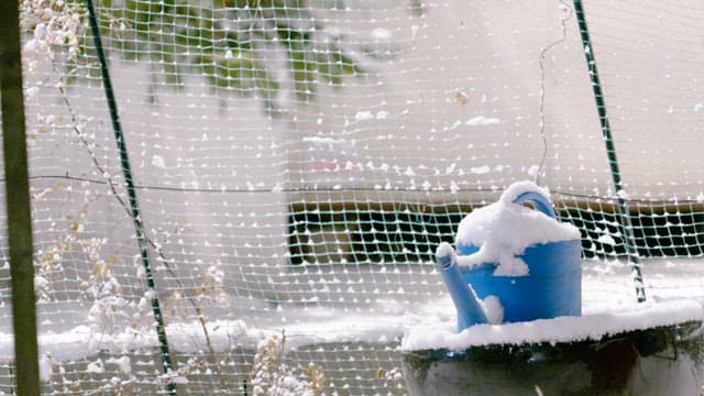 Blue watering can covered with snow on a winter day