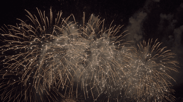 밤하늘 높이 터지는 역동적인 불꽃놀이