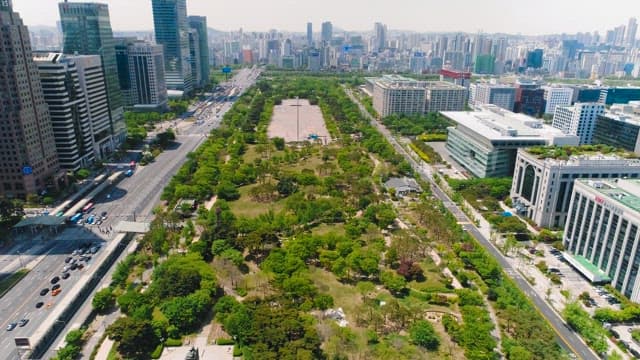 Urban Park as a Rest Area Amidst Cityscape