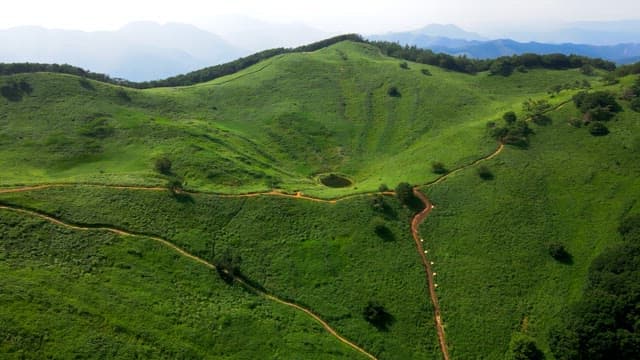 Lush green hills with winding paths