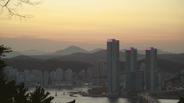 높은 건물들이 많은 해안도시의 저녁 풍경