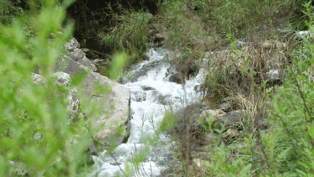 바위 사이로 흐르는 계곡