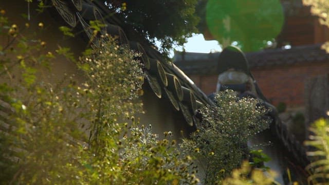 Wall of Traditional Korean Architecture and Nature