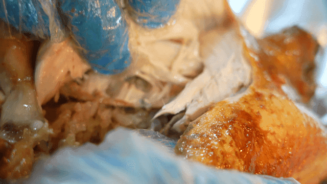 Gloven hands tearing apart whole chicken filled with glutinous rice