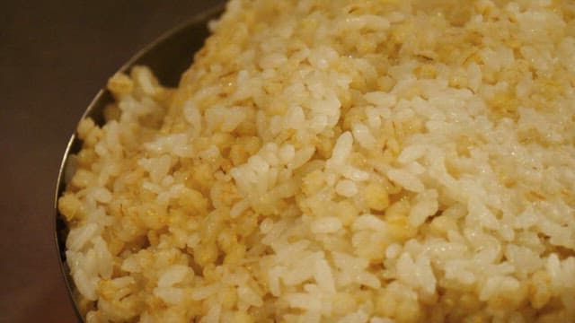 Freshly cooked barley rice with steam
