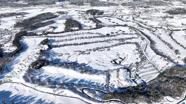 눈 덮인 나무와 겨울 풍경