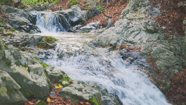 바위 위로 흐르는 고요한 숲 속 계곡