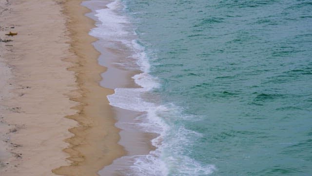 Tranquil Beach Aerial View with Gentle Waves