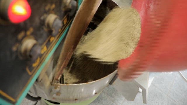 분류기에서 걸러지는 대마 종자