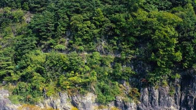 Scenic mountain path along the lush green forest