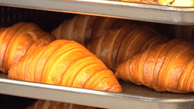 트레이에 놓인 갓 구운 갈색의 크루아상들