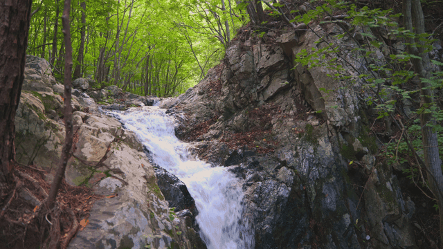 숲속 바위 사이로 떨어지는 폭포
