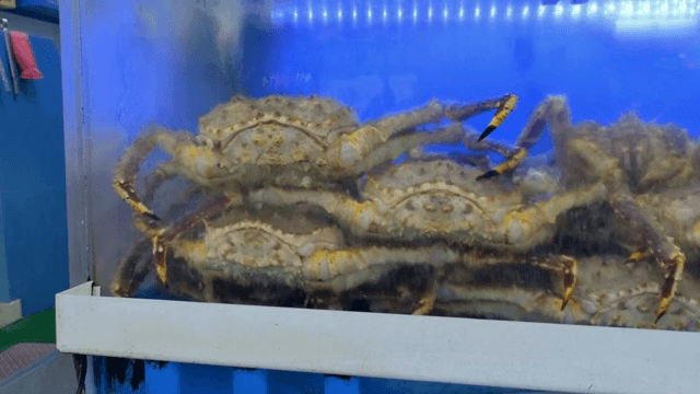 해산물 시장 수조 속 게들