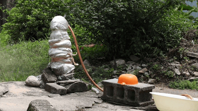 Outdoor water pump setup with hose and basin