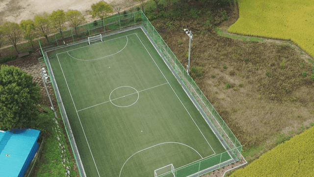 나무로 둘러싸인 축구장의 항공 뷰