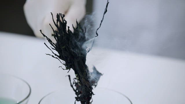 지시약이 담긴 액체를 활용한 실험