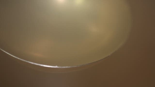 Ladleful of hot, savory broth