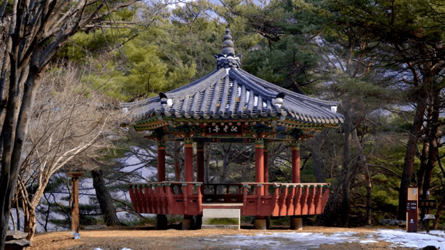 숲 속의 전통 한국 정자