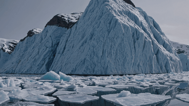 Floating icebergs and vast glaciers