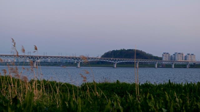 지하철이 지나가는 녹지가 있는 강변