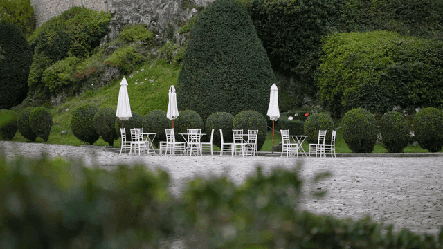 Serene garden with trimmed hedges
