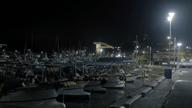 Quiet harbor and fishing boats at night