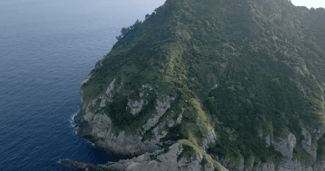 바다 옆 푸른 섬