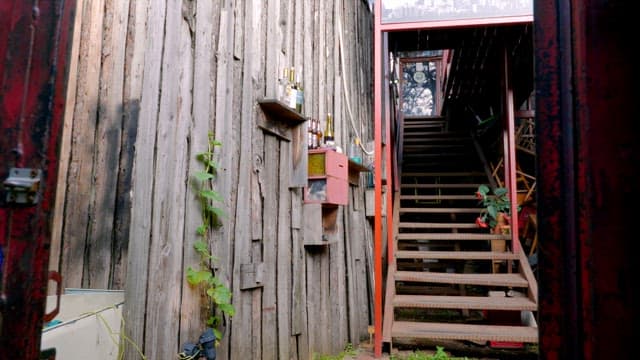 Rustic wooden wall with stairs and plants