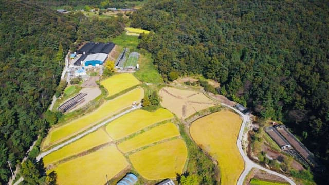 View of a mountain farm on a sunny day