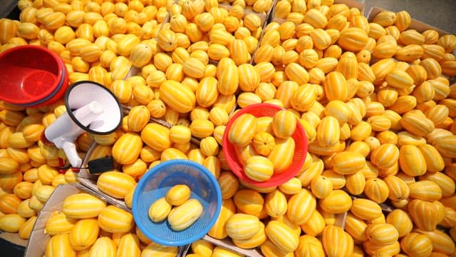 Well-ripened Korean Melons Displayed in the Market