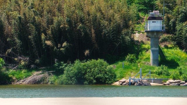 Riverside view with thick green forest and calm water