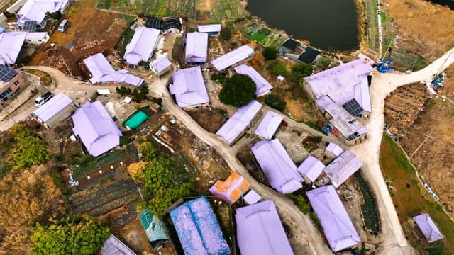 Rural village with purple-roofed houses